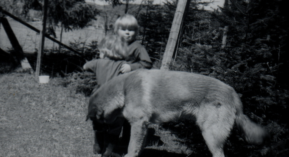 Photo of Dog with a Geoffrey and his younger brother, circa 1968 or 1969